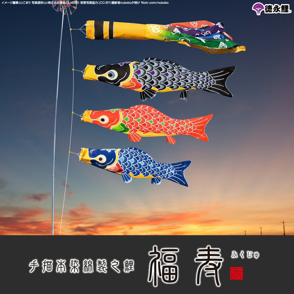 ワタナベ鯉のぼり かなめ鯉 | prefer