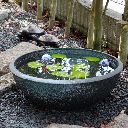 楽天市場】睡蓮鉢 60cmの通販
