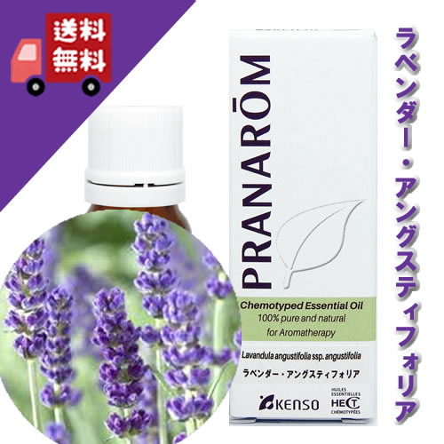 楽天市場】プラナロム ラベンダー アングスティフォリアの通販