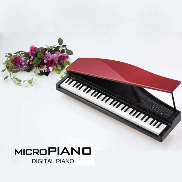楽天市場】KORG MICRO PIANOの通販
