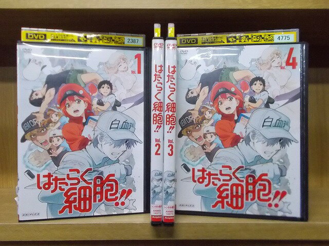 楽天市場】はたらく細胞 dvd 全巻の通販