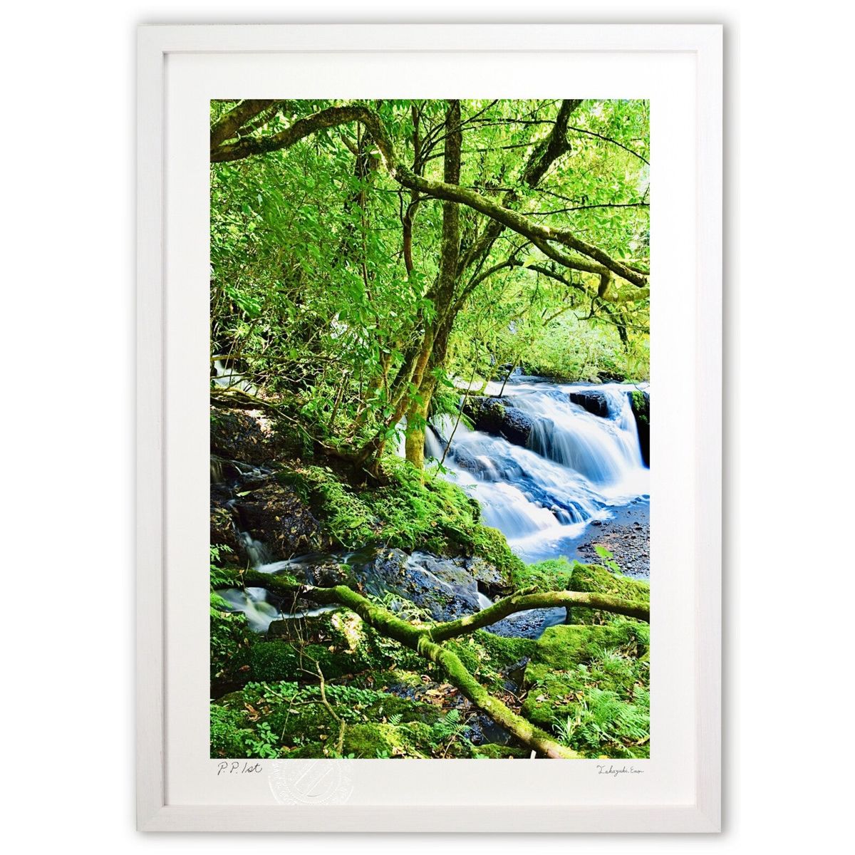 楽天市場】森林の滝の通販