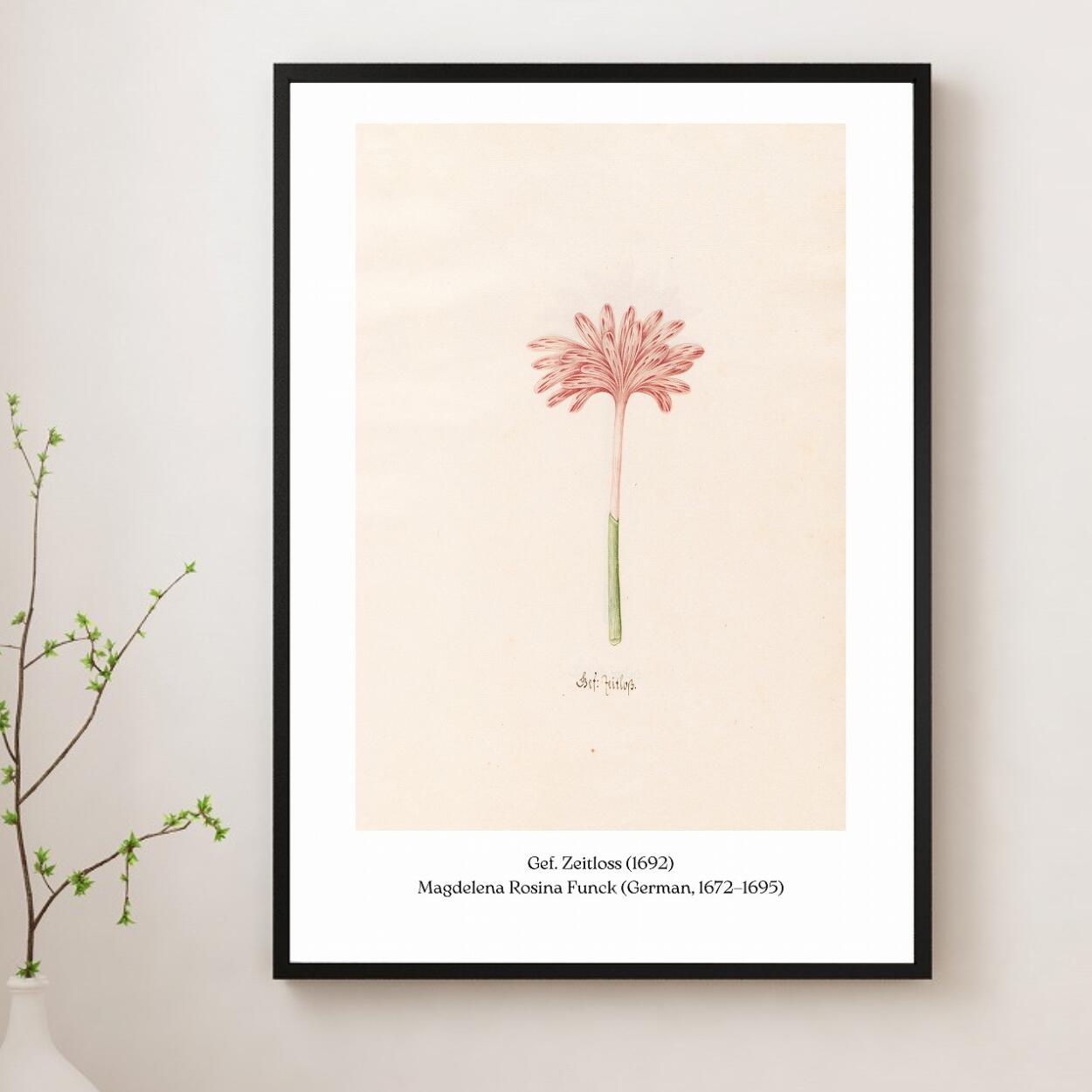 楽天市場】多肉植物 ポスターの通販