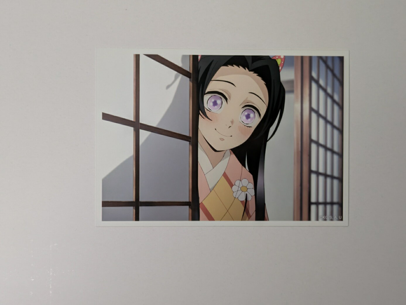 楽天市場】鬼 滅 の 刃 カナエの通販