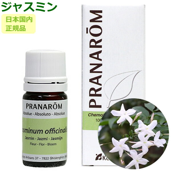 楽天市場】プラナロム ジャスミンの通販