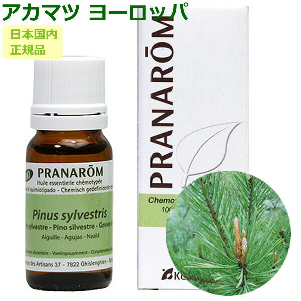 楽天市場】ヨーロッパ アカマツ 精油の通販