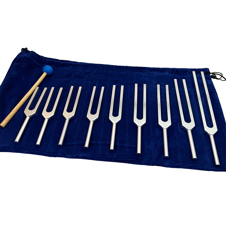 楽天市場】バイオソニック 音叉の通販