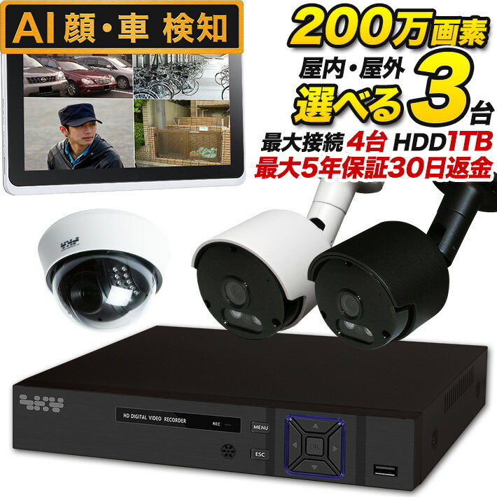 VIVOTEK FD8167A ドーム型カメラ 2台セット VIVOTEK FD8167A ドーム型