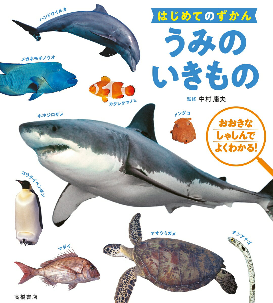 楽天市場】海の生き物 図鑑（本・雑誌・コミック）の通販