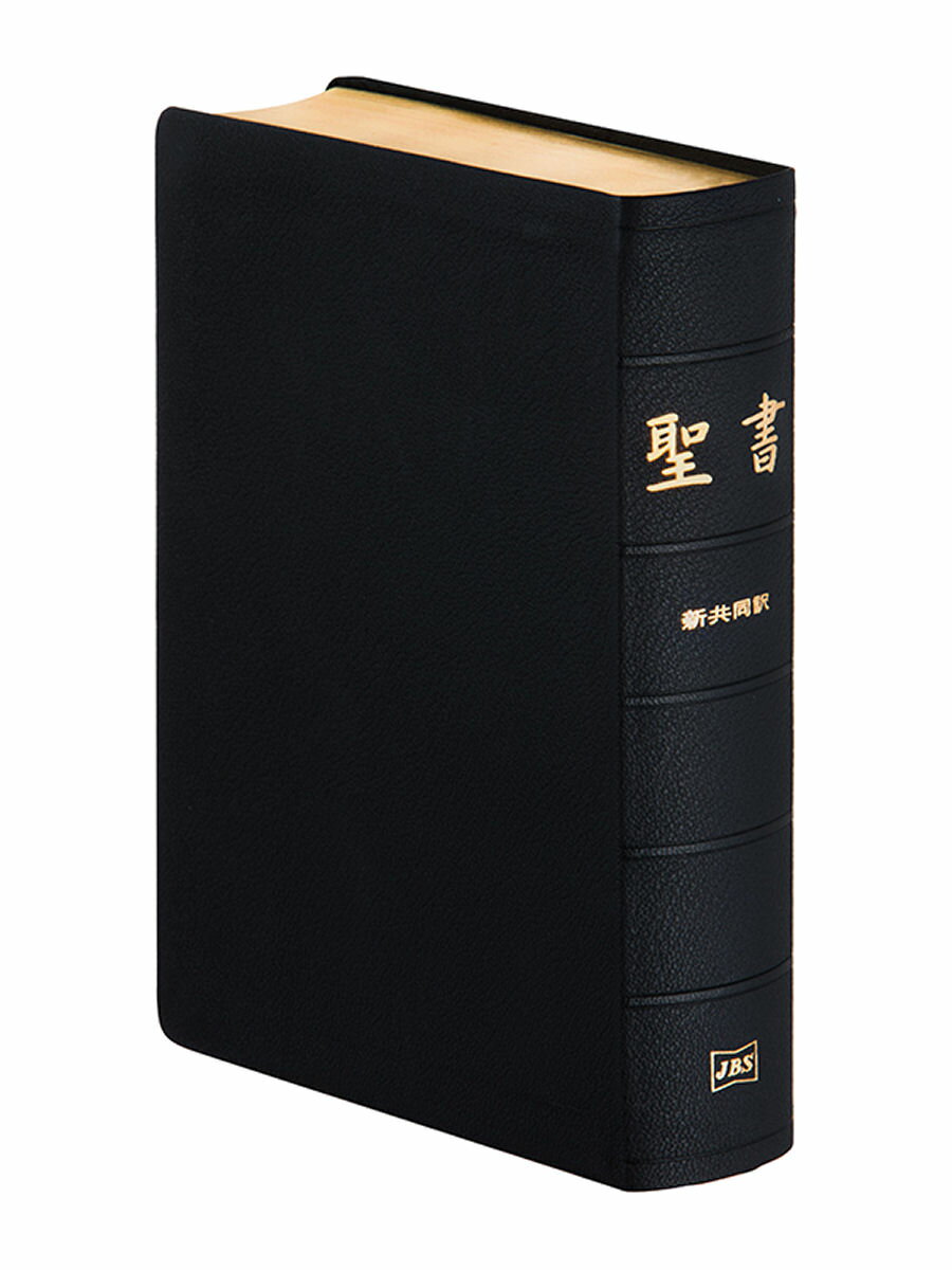 楽天市場】聖書 革装の通販