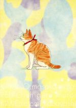 楽天市場】やっぱり猫が好き（DVD｜CD・DVD）の通販