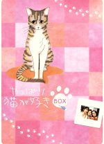 楽天市場】やっぱり猫が好き dvd boxセットの通販