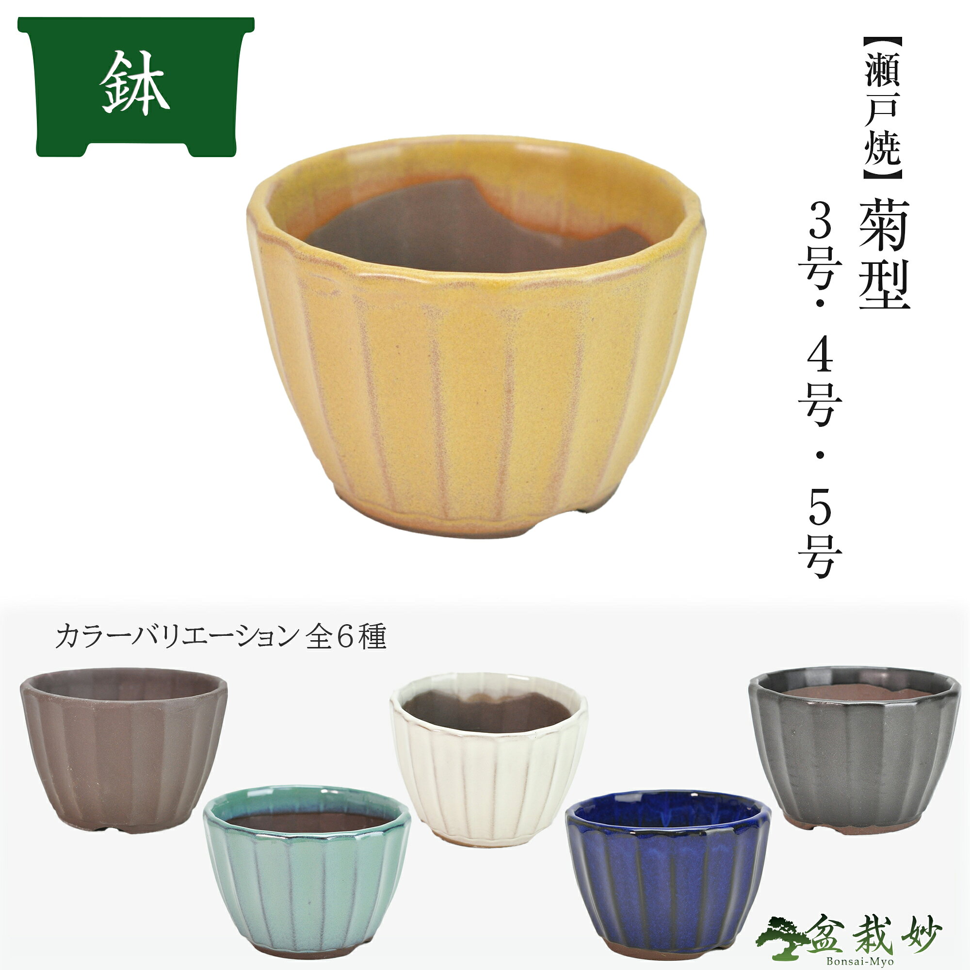 楽天市場】ミニ 盆栽 鉢の通販