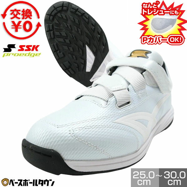 楽天市場】SSK トレーニングシューズ（野球・ソフトボール｜スポーツ