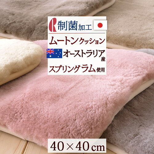 楽天市場】京都 西川 ムートン ラグの通販