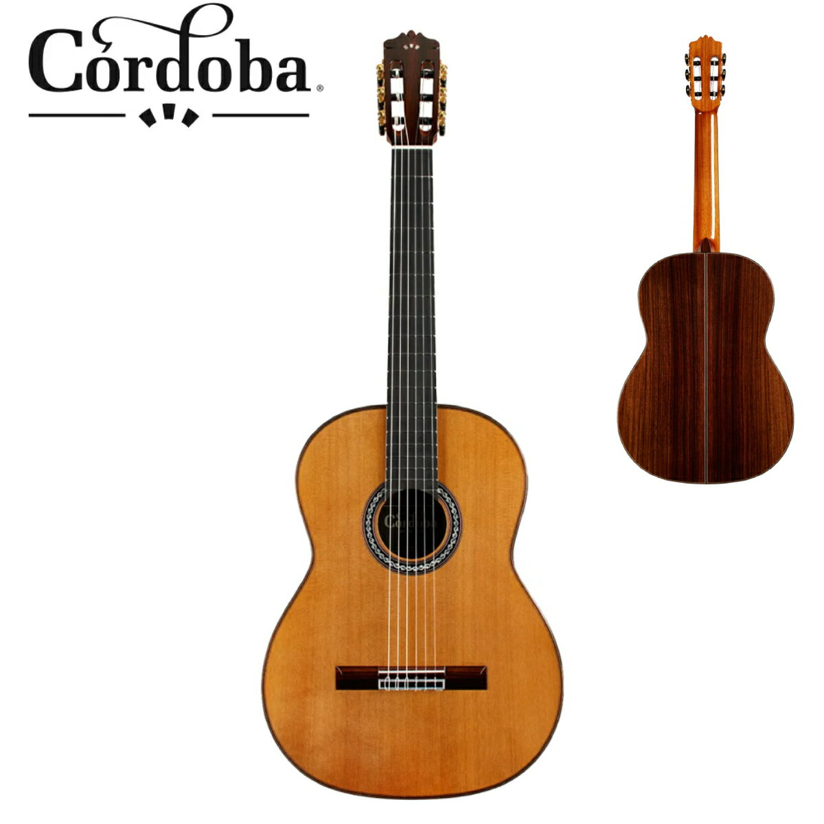 楽天市場】オール単板 クラシックギターの通販