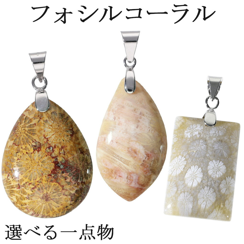 楽天市場】フォッシルコーラルの通販