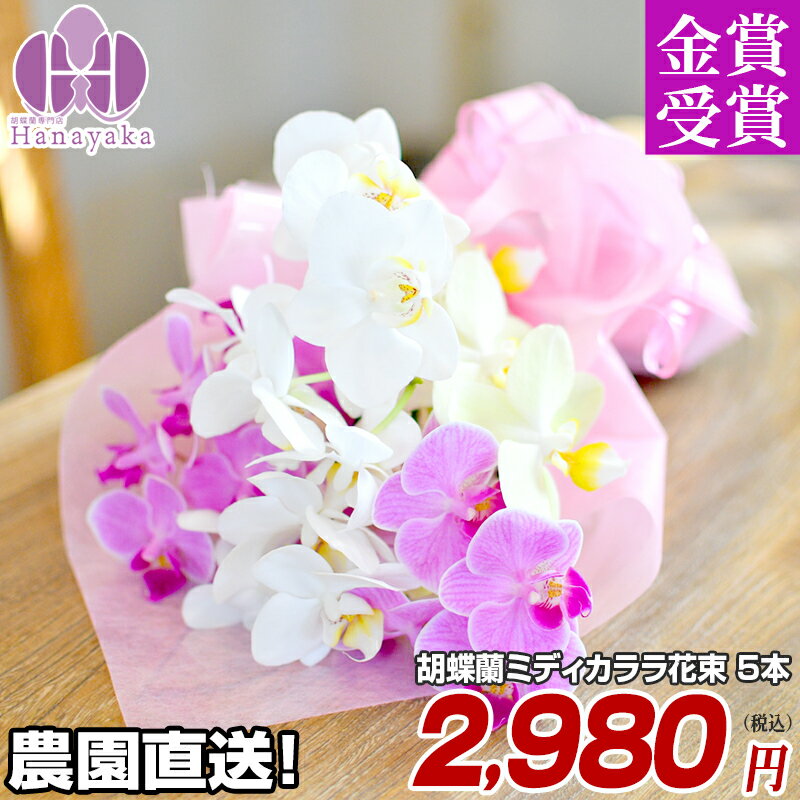 楽天市場】レース（花束・切花｜花・観葉植物）：花・ガーデン・DIYの通販