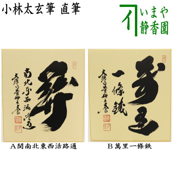 楽天市場】小林太玄の通販