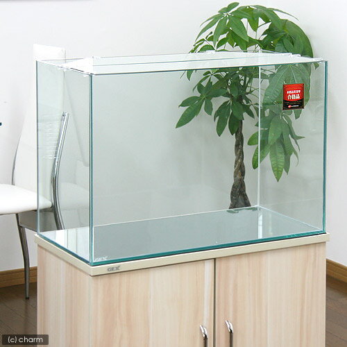 楽天市場】グラステラリウム6030の通販