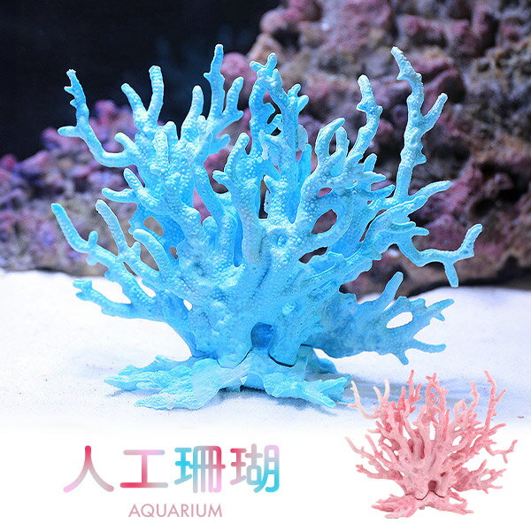 楽天市場】珊瑚 水槽の通販