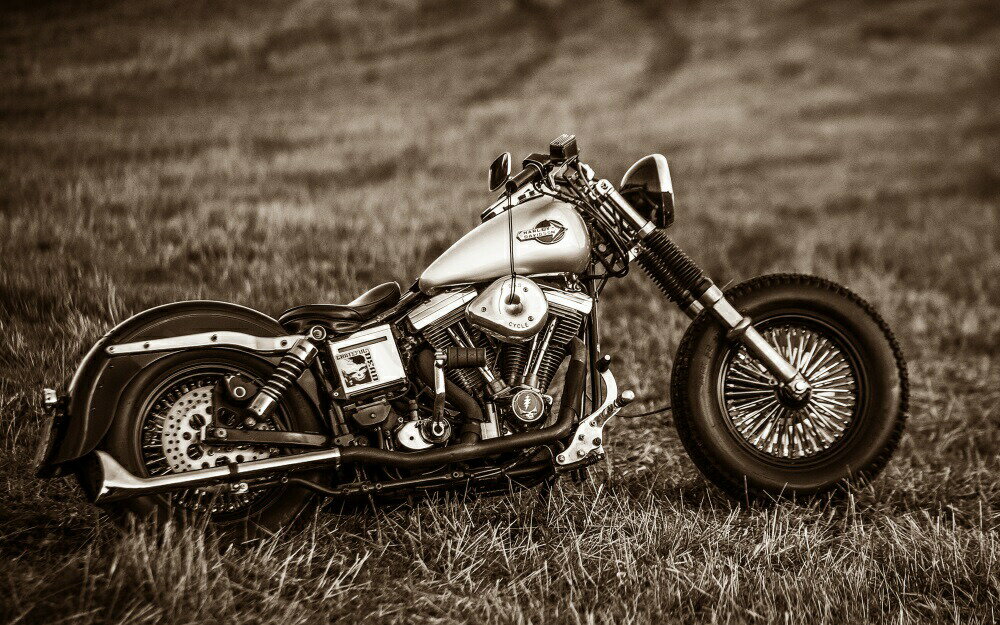 楽天市場】ハーレー（壁紙・装飾フィルム｜インテリア・寝具・収納）の通販