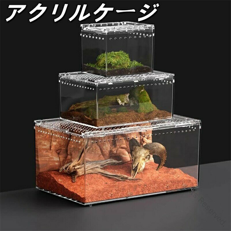 楽天市場】鍵付き ケース（爬虫類・両生類｜ペット・ペットグッズ）の通販