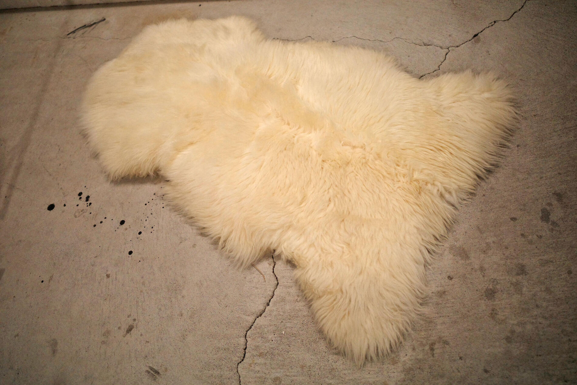 楽天市場】bowronの通販