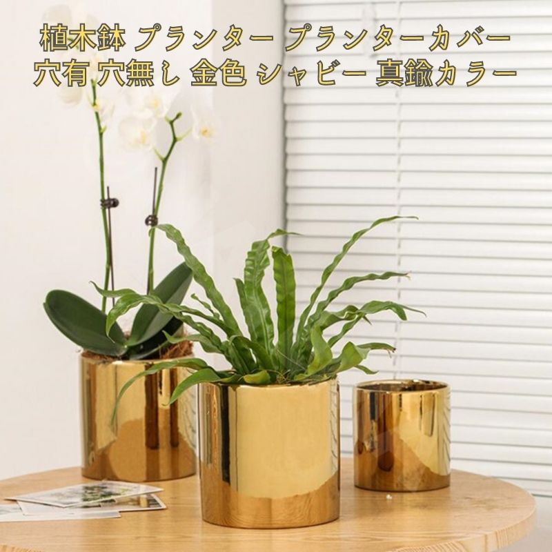 楽天市場】ゴールド（植木鉢・プランター｜ガーデニング・農業）：花