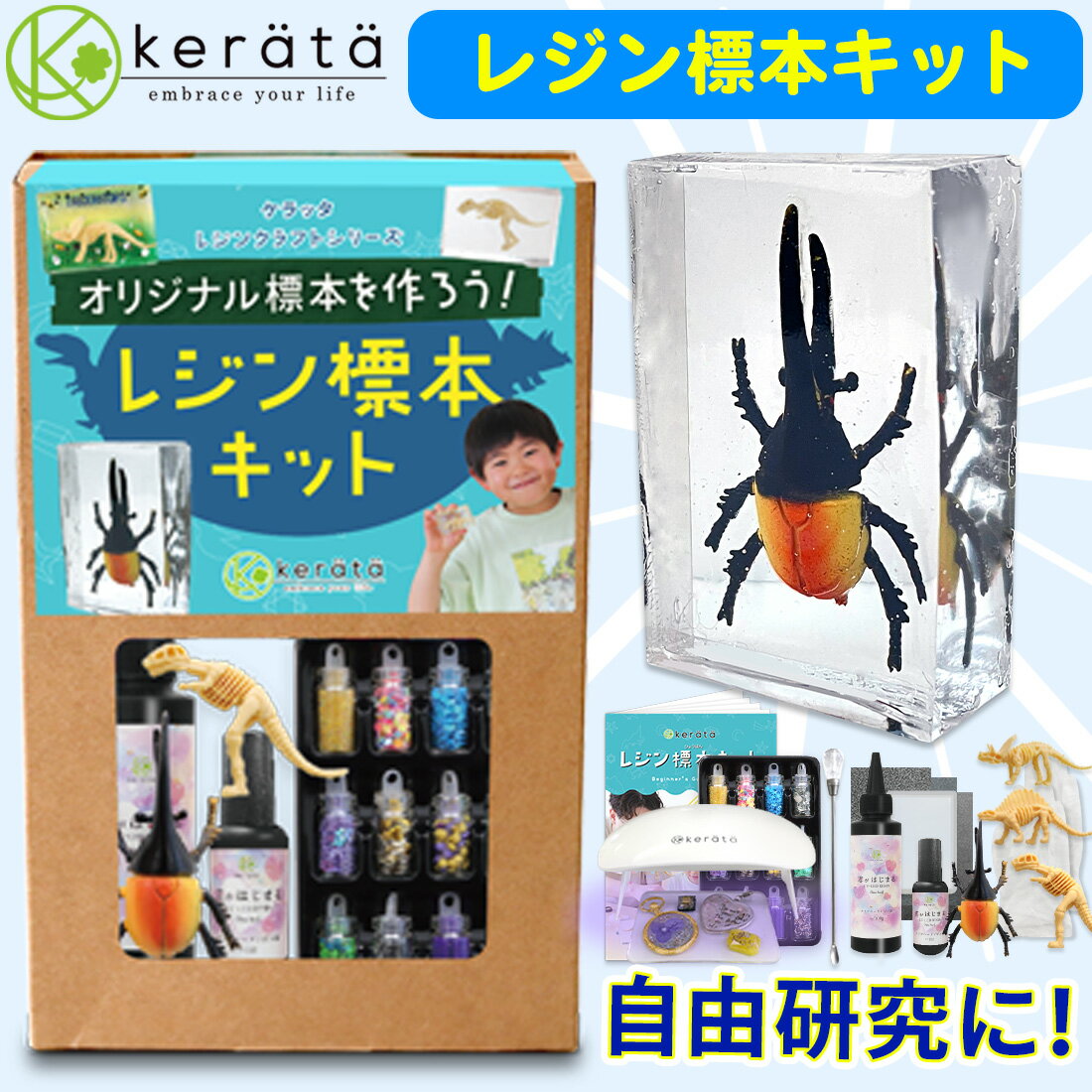 楽天市場】昆虫 標本 セット おすすめの通販