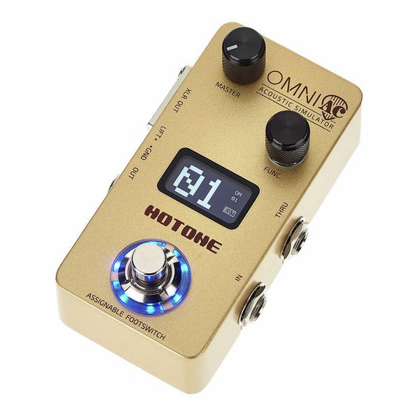HOTONE OMNI AC アコースティックシュミレータ USB C、箱付き HOTONE