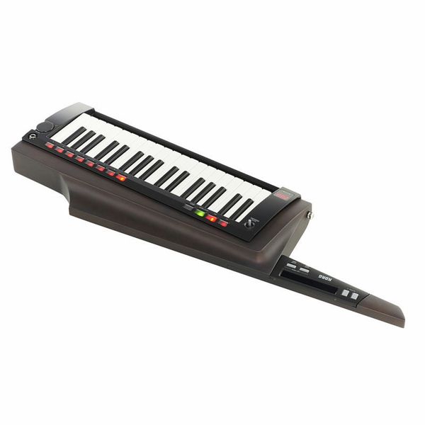 Korg RK-100S 2 Black – United States