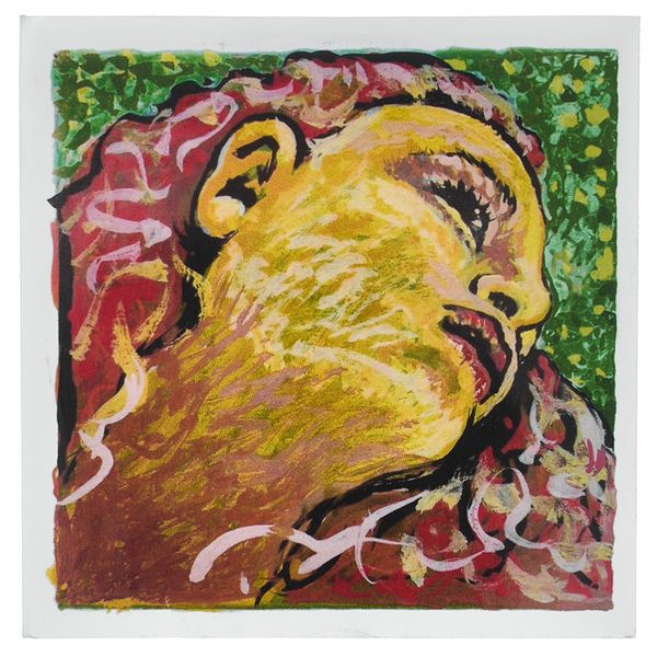 Pirastro Evah Pirazzi Neo D Violin 4/4 – United States