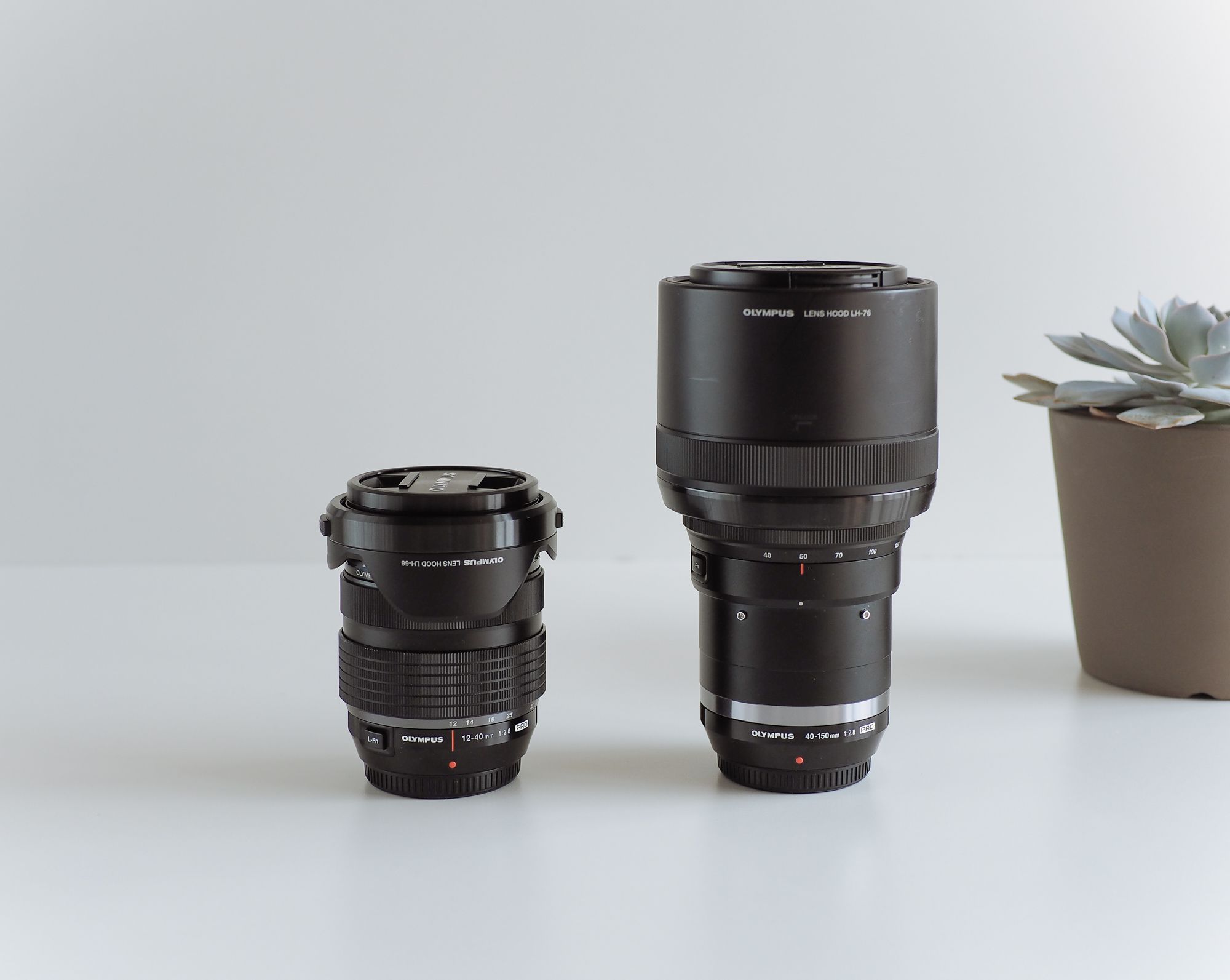 The Olympus 40-150mm f/2.8 Pro Lens Review — Tools and Toys