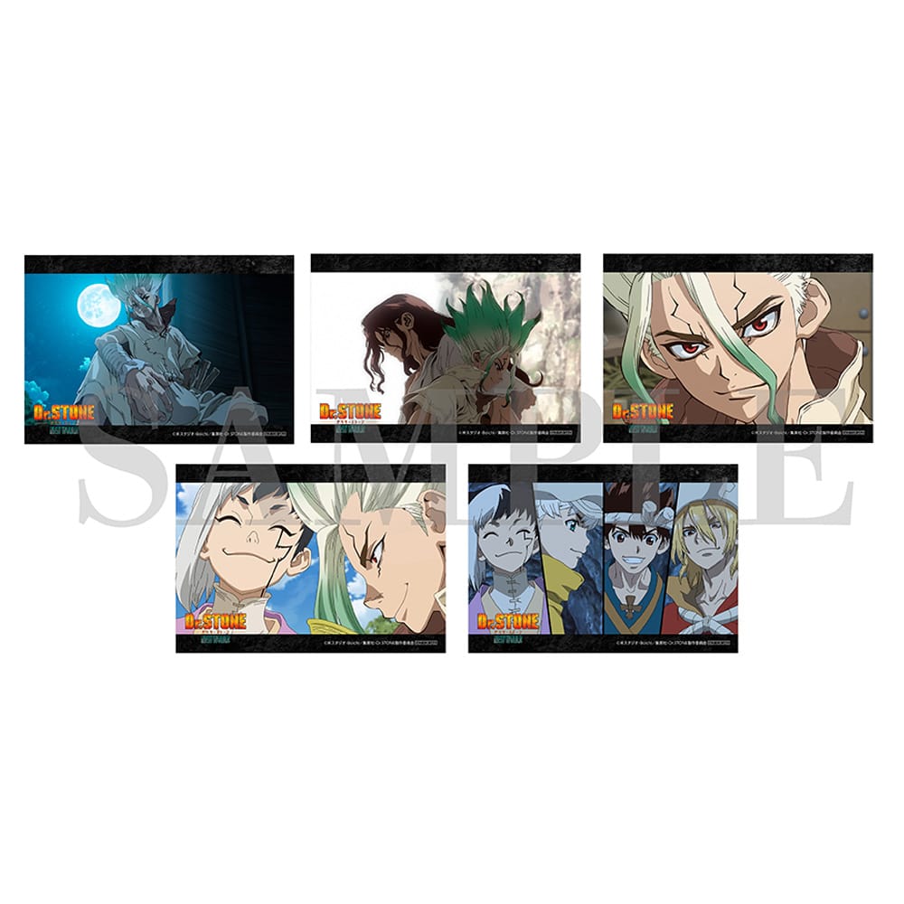 公式オンラインストア『Dr．STONE』3rd SEASON DVD BOX 1 初回