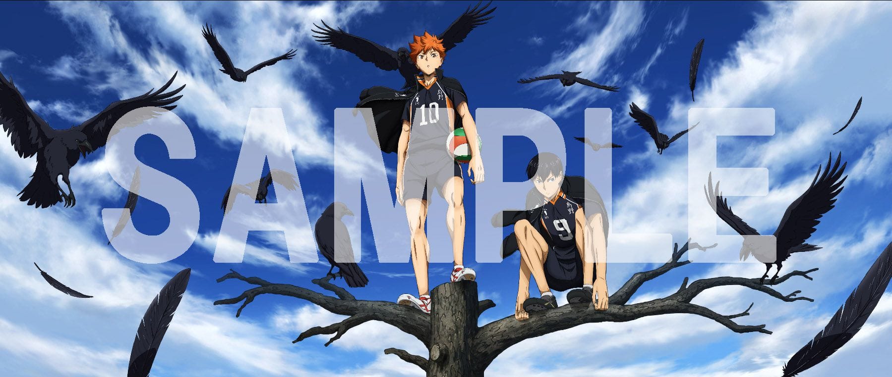 公式オンラインストアハイキュー!! セカンドシーズン Vol.1 Blu-ray