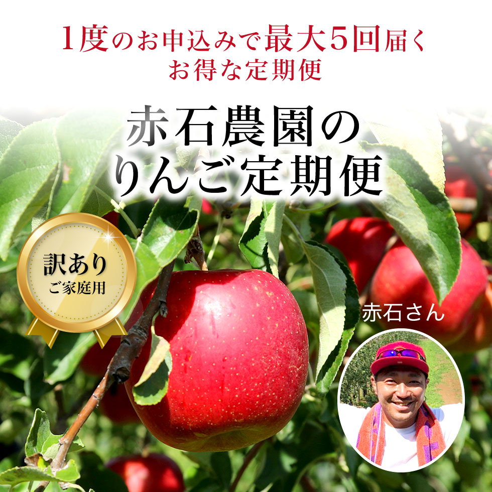 青森りんご定期便10kg(26～40玉)|旬の青森県産ご家庭用葉とらずふじ