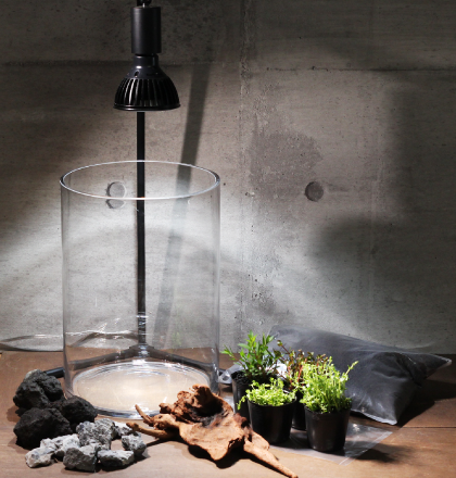 癒やしのアクアリウムキット（ライト/スタンド無し） | 杜若園芸WEB