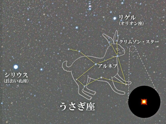 星空通信】12月 冬の夜空で輝く「うさぎ座」｜教育｜徳島ニュース