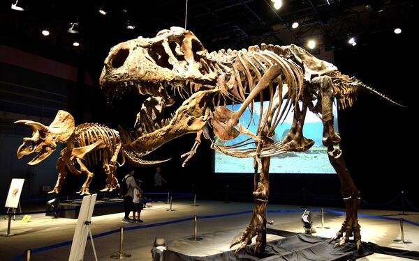 img_fde06f500430d96d4881a53419