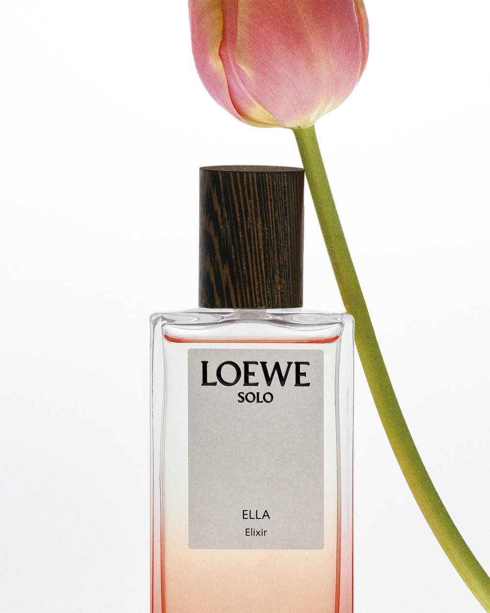 ロエベ フレグランスの新たなカテゴリーとして生まれた、LOEWE Elixirs