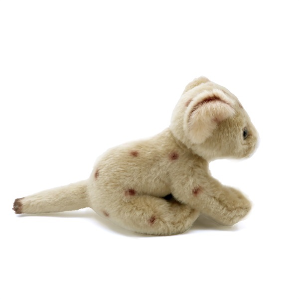 商品詳細ページ