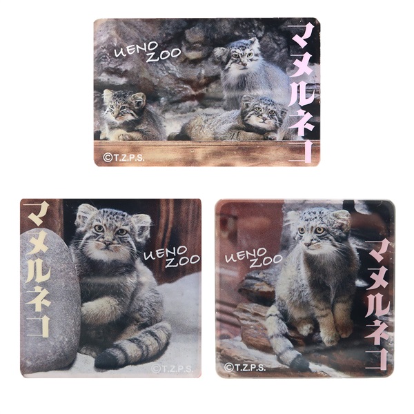 商品詳細ページ