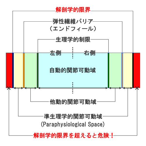 アジャストメントについて-HALOカイロプラクティック☆平和島整体院/大森