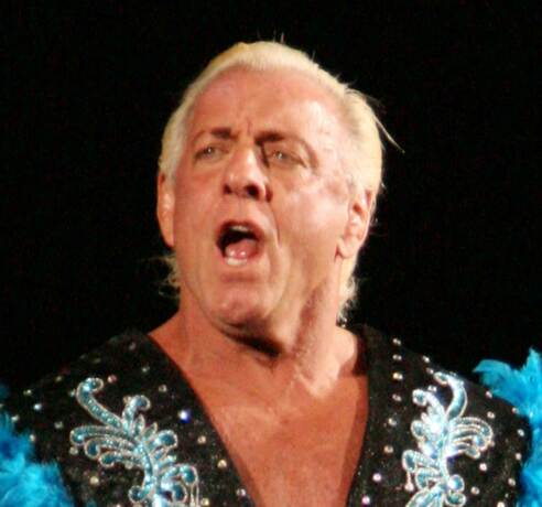 プロレススーパースター列伝「リック・フレアー編」 | メタボの