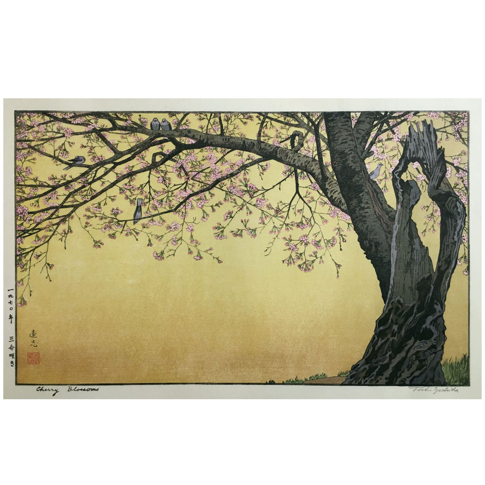 Toshi-Yoshida-Cherry-Blossoms.