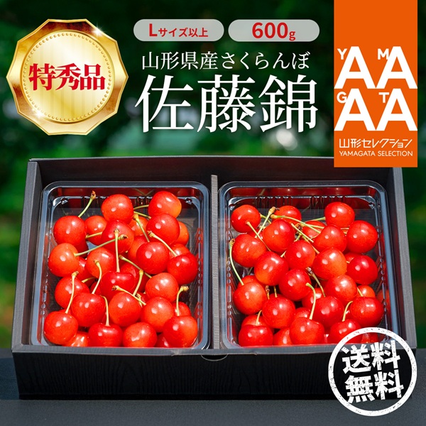 フルーツ :: 【先行予約／送料無料】山形県産 佐藤錦 さくらんぼ 特秀