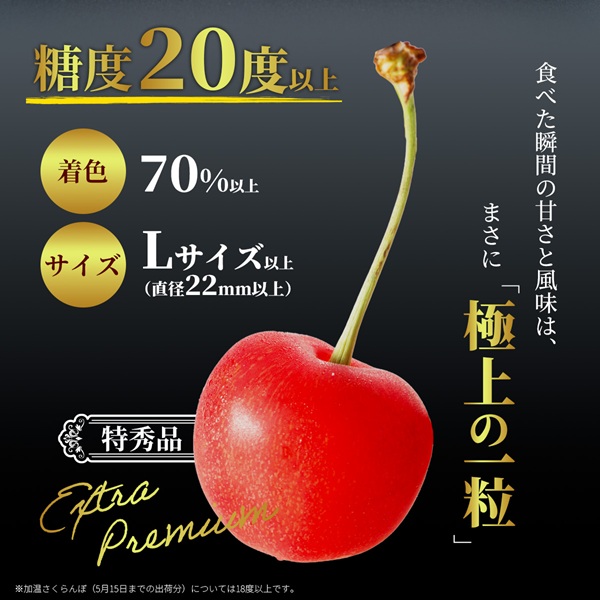 フルーツ :: 【先行予約／送料無料】山形県産 佐藤錦 さくらんぼ 特秀