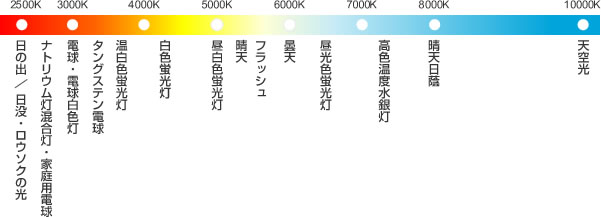 フィルターの種類 | 有限会社東光映材