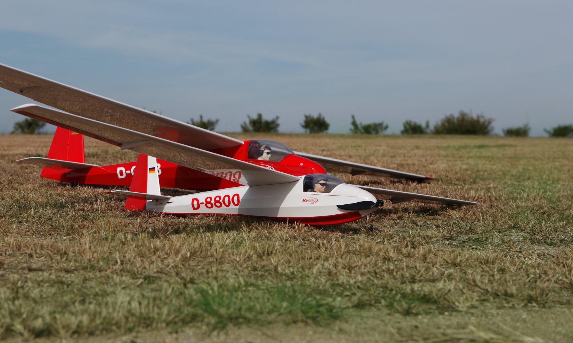 テトラ フラミンゴ20 キットの箱を、開けてみた。 | トップモデルBLOG